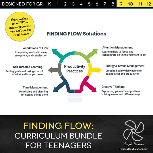 6 Unit Bundle: All of High School Finding Flow Solutions