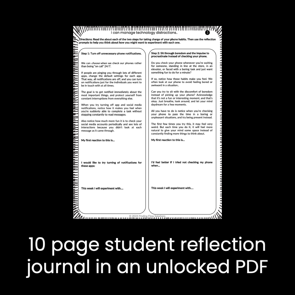 Self-Advocacy & Self-Regulation: 10 lessons with PPT and student journals